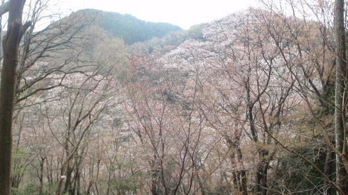yama2.JPG