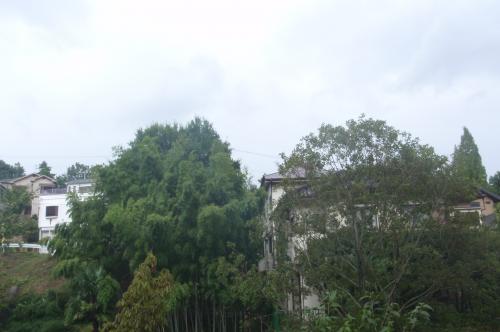 20110905-2.jpg