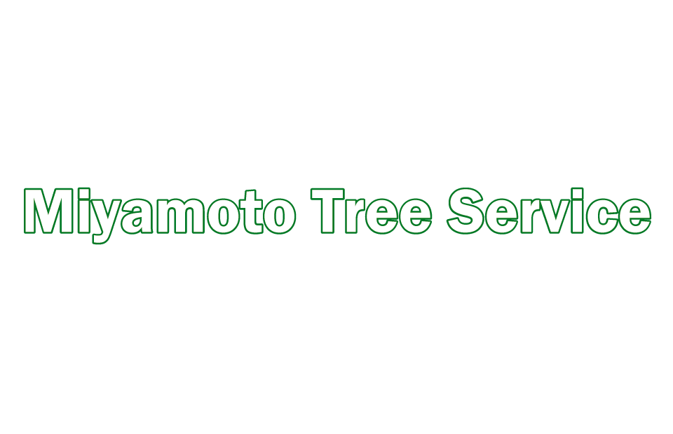 Miyamoto Tree Service