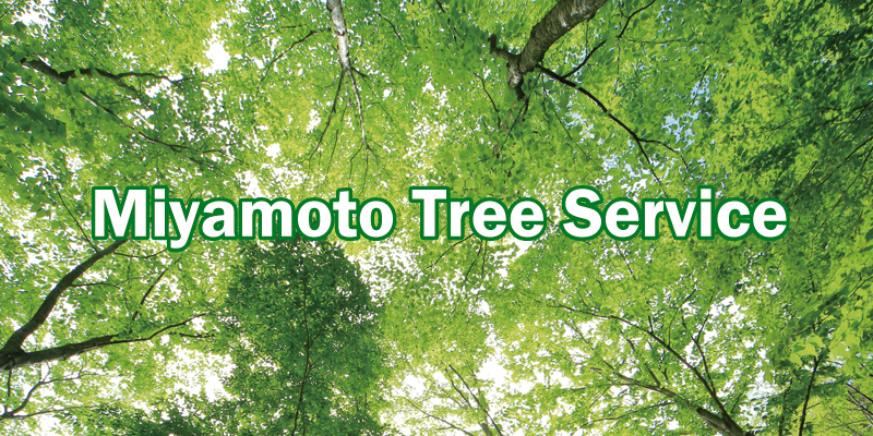 Miyamoto Tree Service